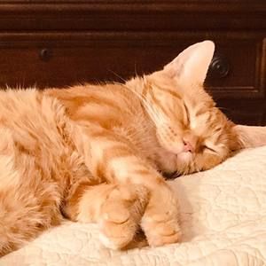 Meet your Posher, Laura